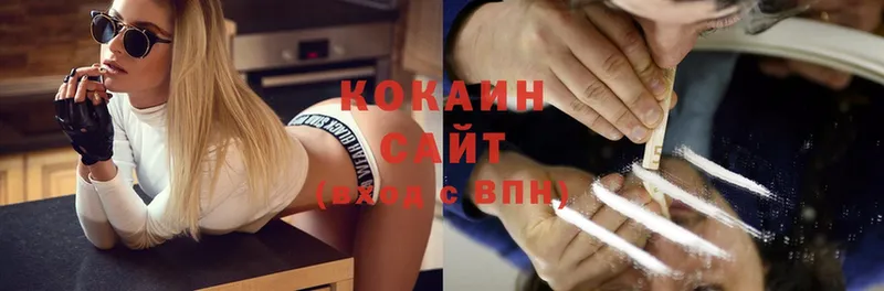 Cocaine FishScale  где купить наркоту  Бабушкин 